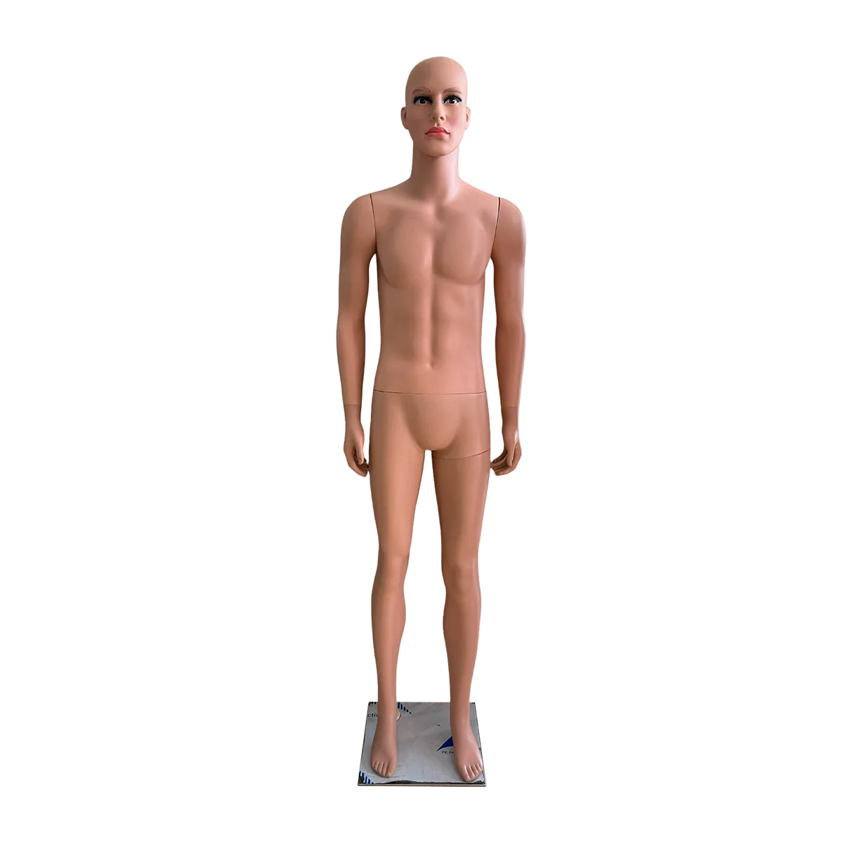 Maniquí Caballero Completo Pelón B01