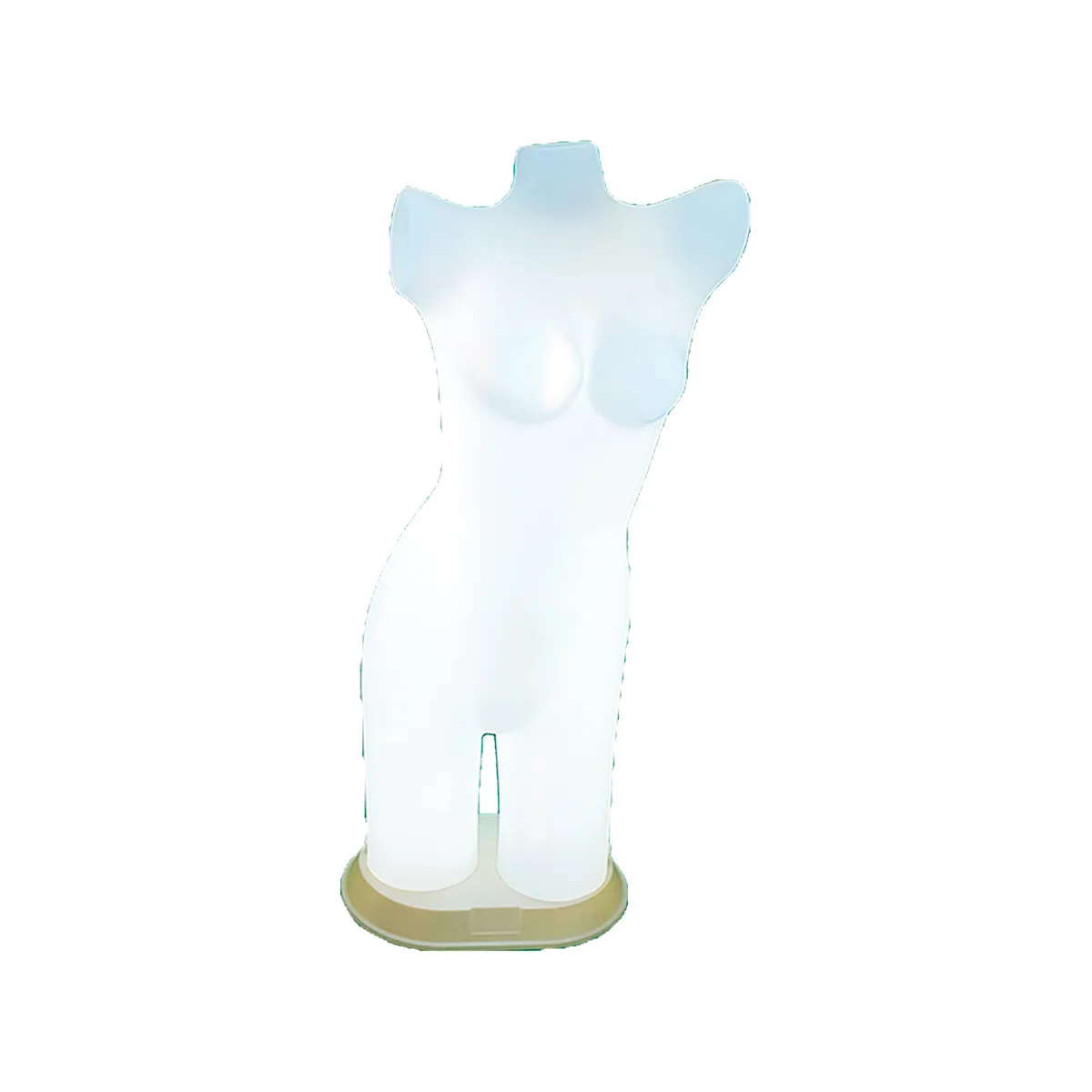 Dorso de Dama con Luz